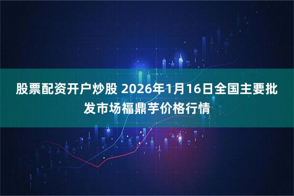 股票配资开户炒股 2026年1月16日全国主要批发市场福鼎芋价格行情